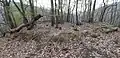 Plateau der Westburg von der südöstlichen Ecke aus gesehen