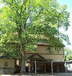 Das alte „Hander Schulhaus“ der KGS Baujahr 1920–1922