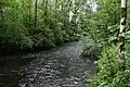 Die Altglan im Landschaftsschutzgebiet Salzachsee-Saalachspitz