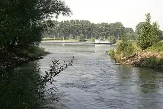 Sicht auf den Rhein, rechts die Insel Kühkopf