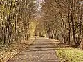 Neckartal-Radweg bei Benningen