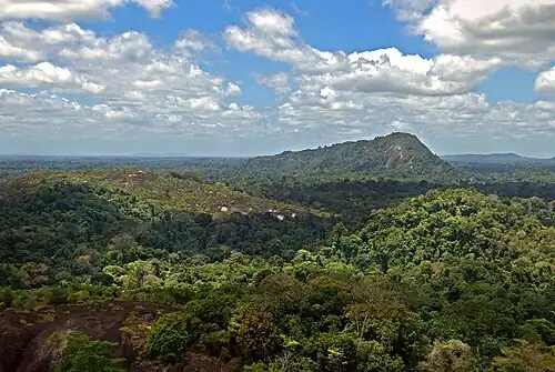 Naturreservat Zentralsuriname