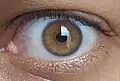 bernsteinfarbenes Auge
