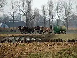 Amische bringen Jauche aus