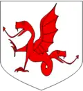 Amphisbaena