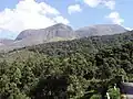 Anamudiberge in den Kardamombergen/Kerala
