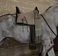Vaquero-Sattel