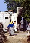 Gehöft in Milos