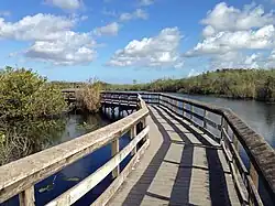 Holzsteg auf den Anhinga Trail