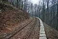 Lehnenstrecke im Wald