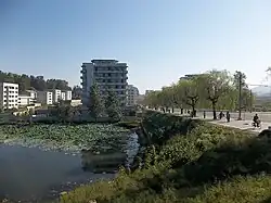 Anju (2011)