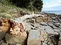 Felsbrocken am Strand, im Hintergrund der Hafen von Koper
