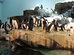 SeaWorld Orlando