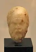 Inv. B 372: Bildnisköpfchen des Sokrates; von einer Sitzstatuette aus Pergamon.