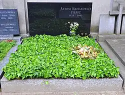 Mit Pflanzen bewachsenen Grabstein und Gedenktafel für Marianowicza