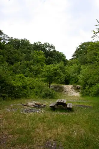 Der Steinbruch auf der Antonshöhe