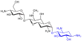 Apramycin (blau: Desoxystreptamin-Struktur)