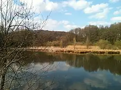 Mühlenteich (April 2012)
