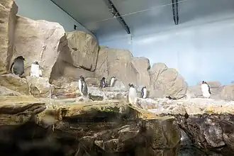Aquarium Genua