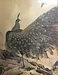 Pfau 1