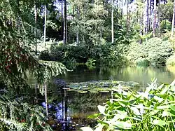 Maar im Waldpark