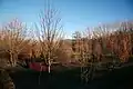 Arboretum