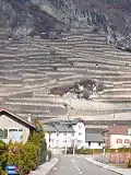 Rebberge hinter Ardon