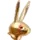 f2