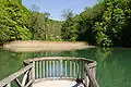 Weiher in der Ermitage