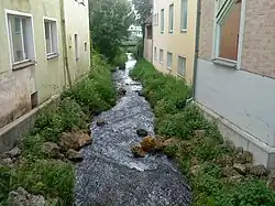 Linker Arm der Fichtenohe (Mühlbach) in Pegnitz