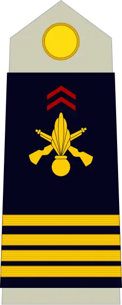 Chef de bataillon
