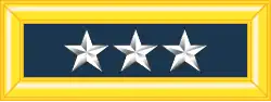 Schulterstück U.S. Army