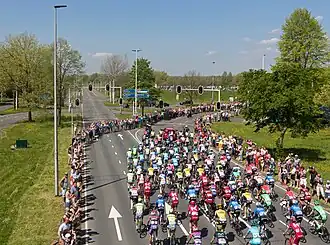 Das Peloton auf der zweiten Etappe in Arnhem.