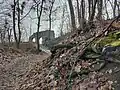 Arnsburg aus dem Wald