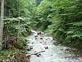 Der Arzbach