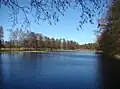 Die Aschauteiche bei Eschede