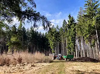 am Aschberg