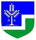 Wappen von Aseri