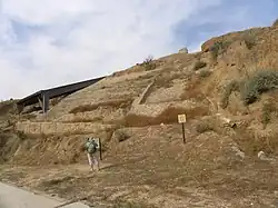 Historische Stadtmauer