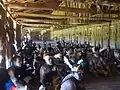 Das Asmat Longhouse