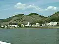 Assmannshausen im Frühling (vom Schiff her betrachtet)