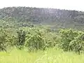 Blick auf die Atakora-Kette vom Pendjari-Nationalpark (Benin) aus