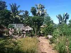 Ilitecaraquia
