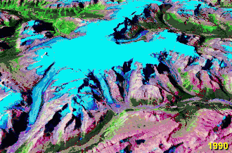 Diese Animation zeigt die vergletscherte Fläche des Columbia-Eisfeldes 1990 und 2000. Der Saskatchewan-Gletscher ist der große zungenförmige Gletscher links im Bild. Er hat sich während dieser Periode sowohl verkürzt, als auch verdünnt.