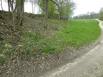Wall: Außenseite