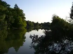 Fischweiher