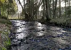 Aubach im Wald (Aubachtal)