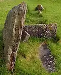 Steinkiste im Steinkreis von Auchagallon