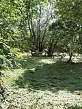 Auenwiese der Safen nach Überschwemmung beim Hotel Rogner Bad Blumau