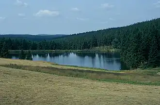 Der Auerhahnteich vom ehemaligen Gasthaus Auerhahn aus gesehen